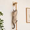 Wall Mounted Cat Sisal Climbing Rope with Wooden Step Cat Wall Scratcher Cat Climber Toy for Indoor Cats Cat Tree Alternative