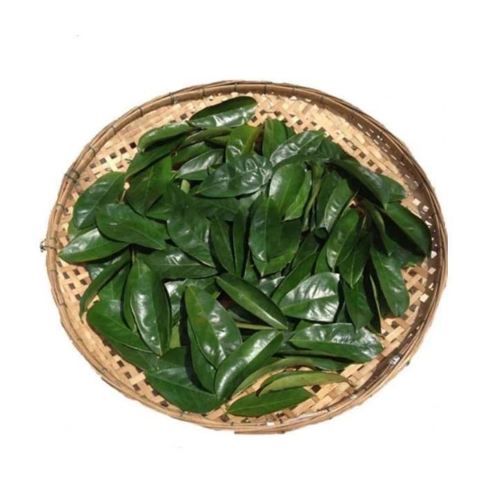 Zestaw 3 x Suszone Liście Annony Ciernistej / Graviola (Guanabana) 120 g – Suplementy Diety
