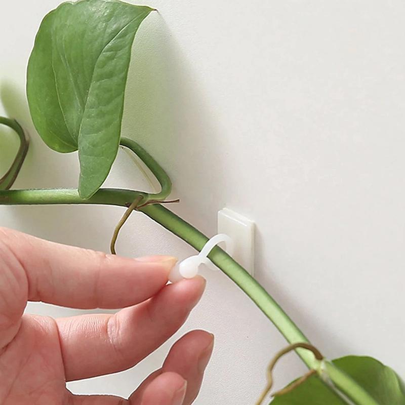 20 Pezzi Casa Giardino Pianta Arrampicante Fissaggio a Parete Clip Fissacavi Rattan Autoadesivo Gancio Fibbia Fissa per Piante Arrampicanti a Parete