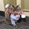 Halloween Funny Dog Cat Clothes for Small Medium Dogs Cats Pet Outfits Party Dressed Up Cosplay Costumes MWTJK02