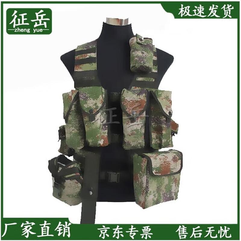 

Zhengyue 06 Tactical Vest Combat Carry Gear
