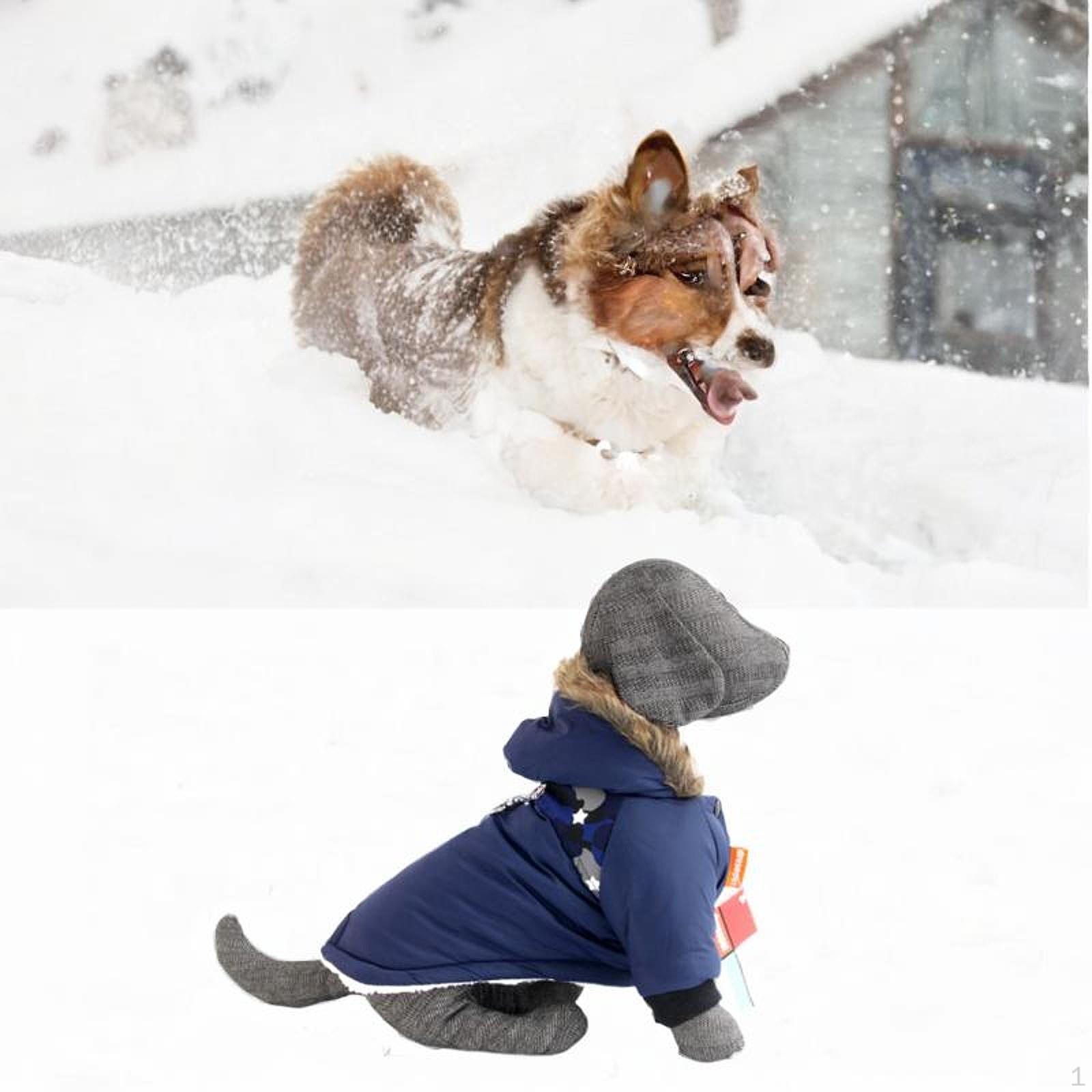 

Хлопковое пальто для собак с кольцом для фиксации, предназначенное для зимних прогулок M