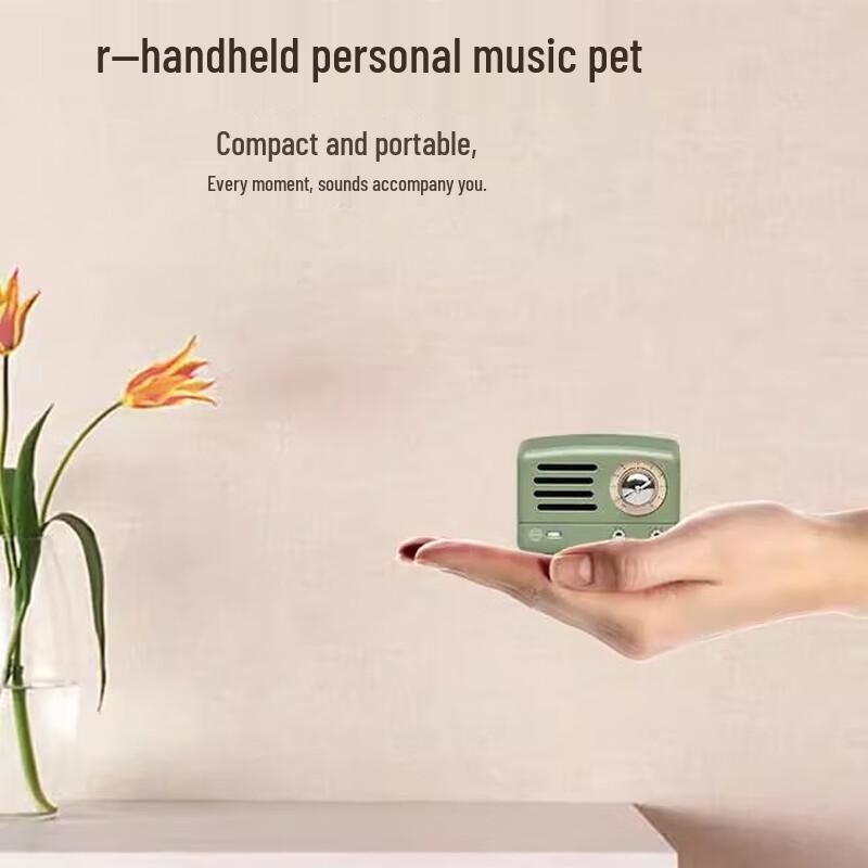 Mao Wang Little Prince OTR Portable Bluetooth Speaker with Radio CN plug (adapter included)