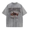 Women's and Men's Washed Cotton T-shirt Full Math Round Neck Short Sleeve Yellowstone Park Buffalo Print Top