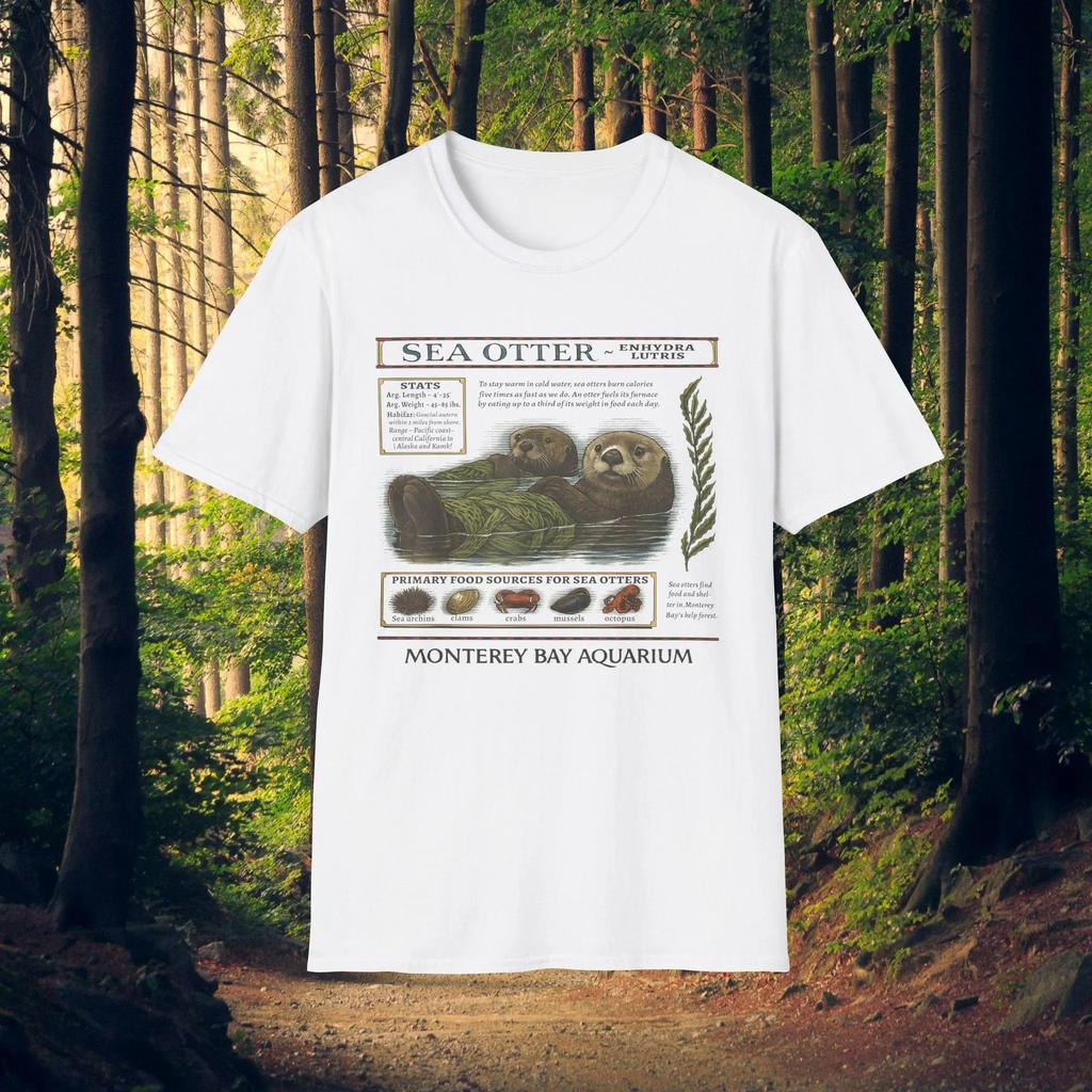 Monterey Bay Aquarium Tshirt Sea Otter Tshirt Swift California Music Video Tshirt for Unisex and Women with Short Sleeves
