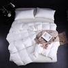 LISM Hotel White Soybean Fiber Winter Duvet