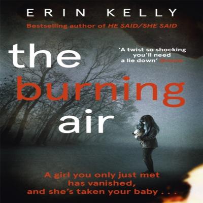 The Burning Air by Erin Kelly Paperback Book 9781444728347