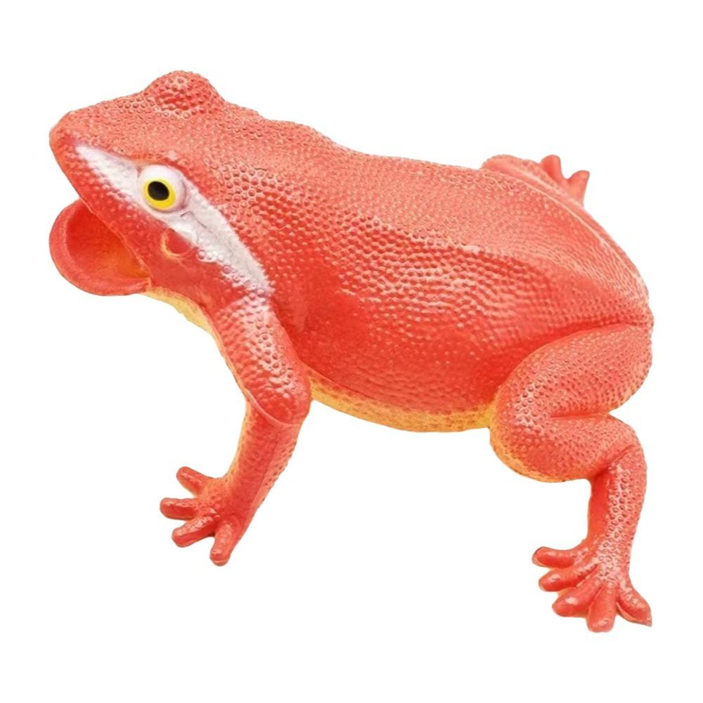 Realistic Texture Simulation Frog Toy Lifelike Appearance Toad Figurine Animal Collections