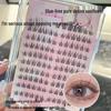 Non-Adhesive Natural Sunflower False Eyelashes, 120 Ultra-Soft Segmented Clusters