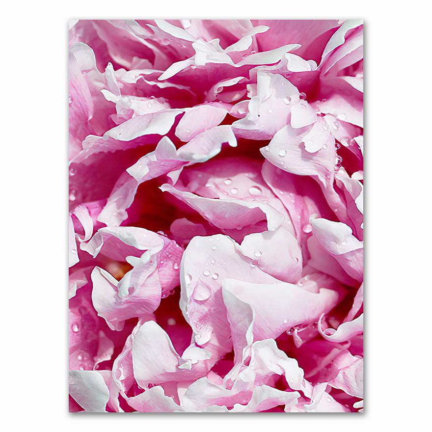 Canvas Painting Elegant Peony Flower Phrase Poster And Print Wall Art Picture For Living Room Home Decoration Nordic Decor