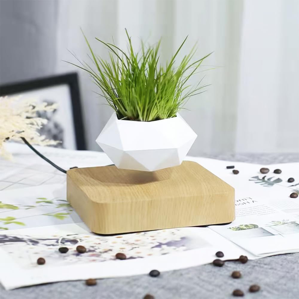 FGY Floating Bonsai Planter, Houseplant, Magnetic Levitation, Potted Plant, Decorative Wood Grain, Floating Interior (Oak)