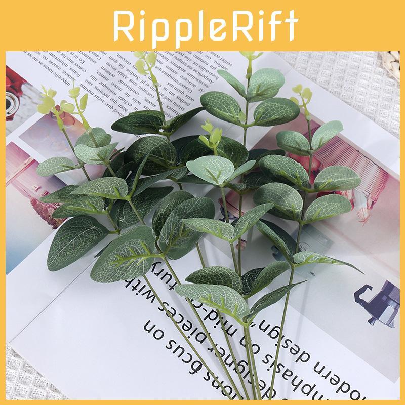 Stem Leaf Eucalyptus For Wedding Centerpieces Home Decor Props Photography