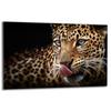 GLASS PROTECTIVE PLATE FOR STOVE 80x52 TIGER