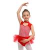 Girls Ringmaster Bodysuit Striped Jumpsuit Rhinestone Details Sleeveless Cutout Waist Mesh Ruffle Performance Costume