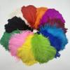 100pcs/lot 6-14 Inch 15-40cm Rose Ostrich Feathers For Wedding Decor Craft