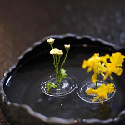 6/12/15/24/25/30/35/50/60 st Flytande Blomsterarrangemangshållare Klar Flytande Blomsterdisplayställ Hydroponik Vattenplantering Blomsterskål Stjälkhållare