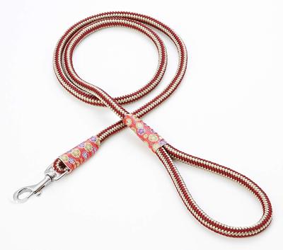 Köpek – Köpek Tasmaları ve Tasma Kayışları