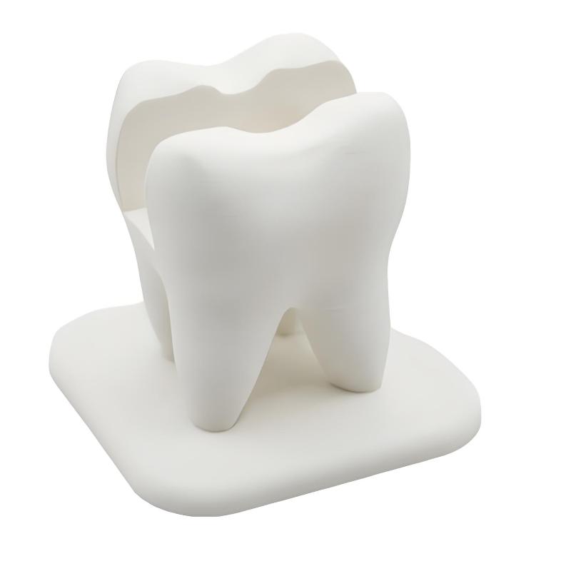 Creative Teeth Styling Business Card Storage Box Clinic Front Desk Display Stand Desktop Decoration Ornaments