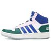 Hoops 2.0 Mid Shoes 'White Royal Blue' Women's GY5900