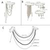 Elegant Brooch Pin Featuring Tassels and Chain Detail Decorated by Imitation Pearls for Personalizing Garments