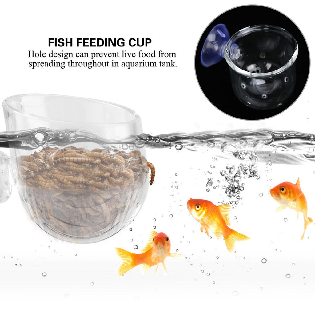 Small   Glass Plant Feeding Cup Fish Red Worm Feeder Cups for Aquarium(S)