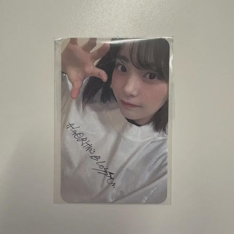 

Qwer Siyeon Popup Store Pre-order Benefit Photocard