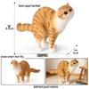 Solid Orange Persian, Ragdoll, Somali, and Blue Short-haired Cat Simulation Models