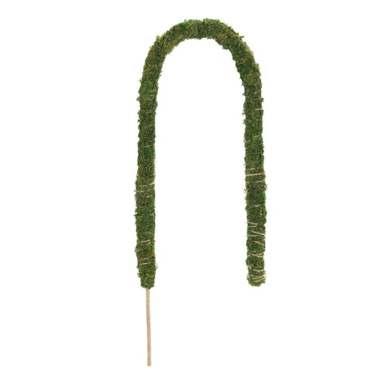 Plant Support Flexible Plant Stake Living Room Plant Stand Plant Climbing Support Suitable for Indoor Plant Growth