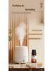 12-Piece Aromatherapy Essential Oil & Humidifier Set for Home and Car