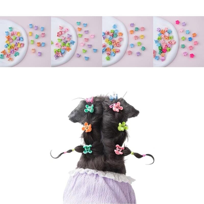 20-piece set of puppy hair mini clips