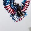 Bald Eagle Wall Sticker Reusable Electrostatic Wall Decals Waterproof Moisture-Proof Wall Sticker for Home Living Room Bedroom Decor