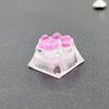 Color Resin Kitten Claw Keycap for Mechanical Keyboards Perfectly Gift for Gamers and Keyboard Customizers