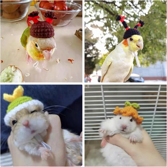 11pcs Hamster Hat, Cute Tiny Mini Hat, Hand Knitted Small Animal Hat and Hand Woven Traction Rope Set for Pets Lizards Hamsters Guinea Pig Holiday