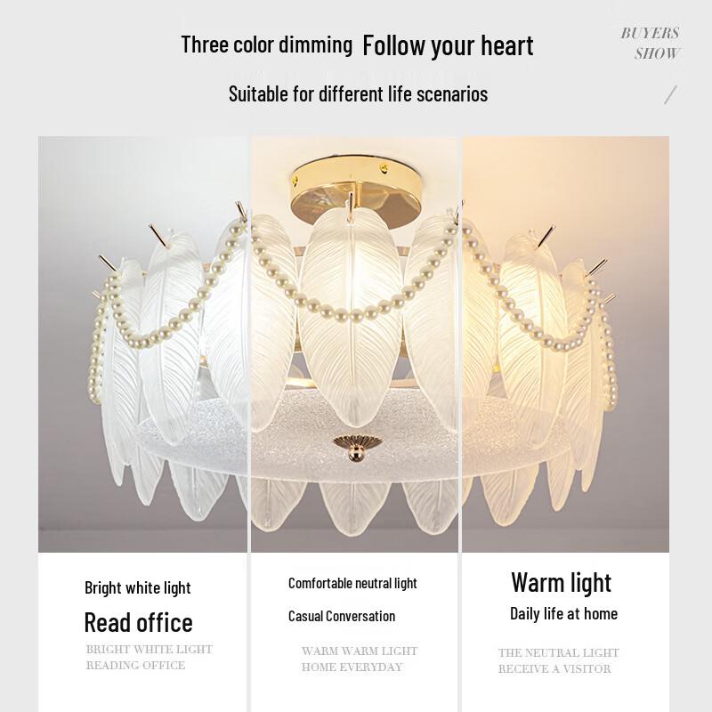 Oeny Light Luxury Ceiling Lamp