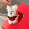 Kawaii Puppy Plush Keychain Cute Cartoon Little Doll Pendant Backpack Hanging Decoration Couple Key Holder Birthday Gifts