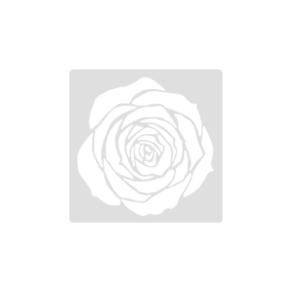 Flowers, Butterflies, Hollow Templates for Painting, Spray Painting, Spray Printing, and Missing Printing Boards, Diy, Horticultural Design Templates