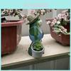 Cute Resin Frog Hanging Decor Miniature Garden Ornament For Office And Home Decor