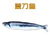 20cm Simulation Fish Cat Toys Soft Plush Catnip Toy Interactive Cat Toys Gifts Funny 3D Fish Shape Doll Pet Supplies