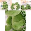 Adorable Big Eyes Turtle Plush Toy Uniquely Stuffed With Soft High Quality Plush