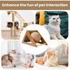 Cat Scratch Ball Kitten Training Toy ChewResistant Scratching Ball For Indoor Cat Exercise And Stress Relief