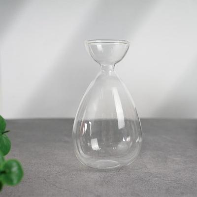 Small Avocado Planting Vase Heat-resistant Simple Avocado Hydroponic Bottle Exquisite Transparent Breeding Container