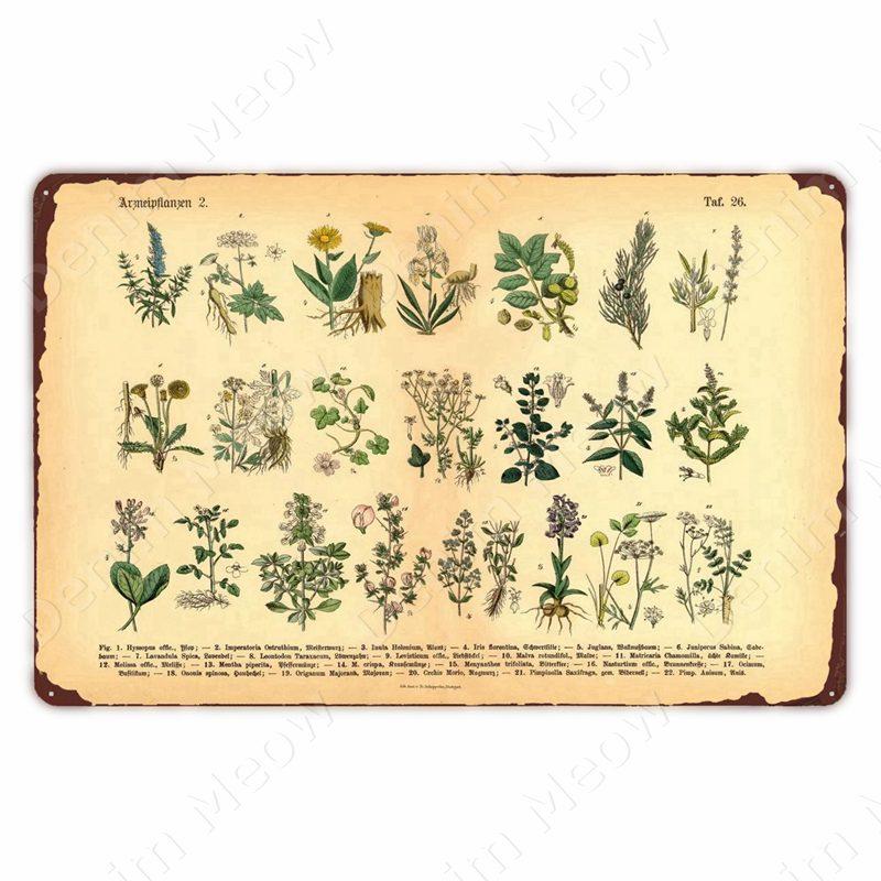 VintageWildFlowersMetalSign Vintage Metal Tin Sign - Wild Flowers Plant Herbarium Art Plaque, Kitchen/Home Wall Decor