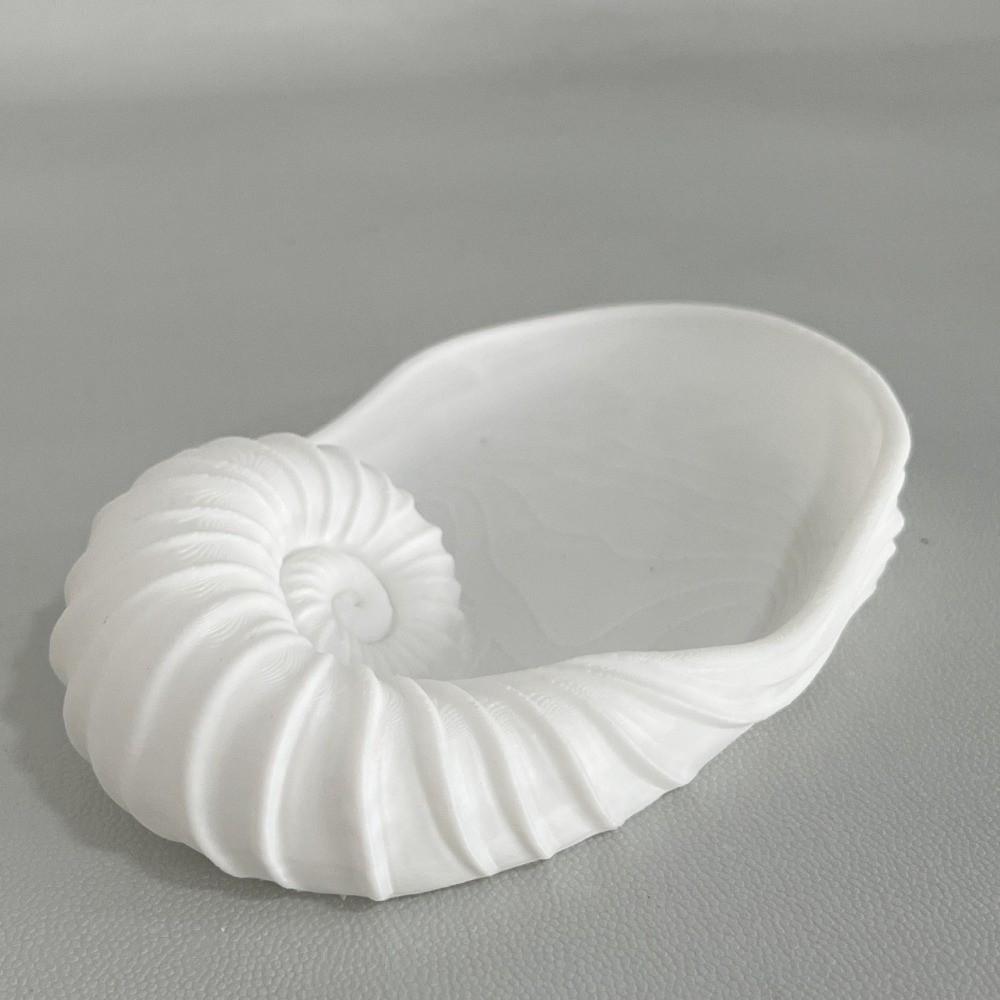 Coastal Style Jewelry Storage Tray 3D Printed Key Holder Nautilus Shell Tray  Desktop Ornament