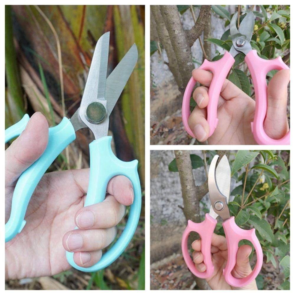 Purple Pruning Tools Blue Garden Scissors Hand Cutter Floral Scissors  Picking Weed