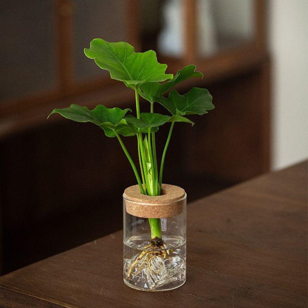 Transparent Hydroponic Flower Holder Thickened Mountain Viewing Bottle Flower Vase  Fish Tank