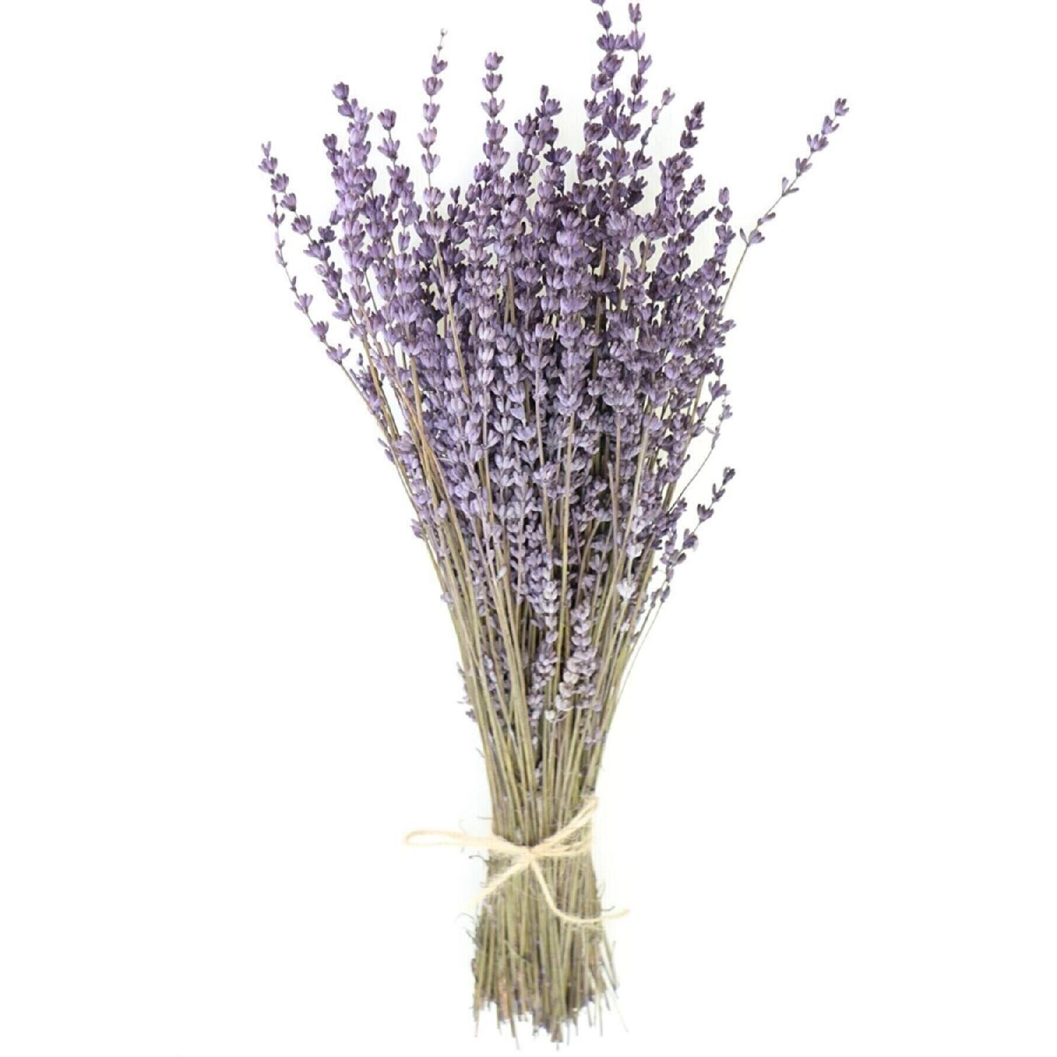 

Real Lavender Bunch фиолетовый