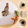Step Cat Supplies Wall Scratching Post Climbing for Grind Claws Rest Stretch