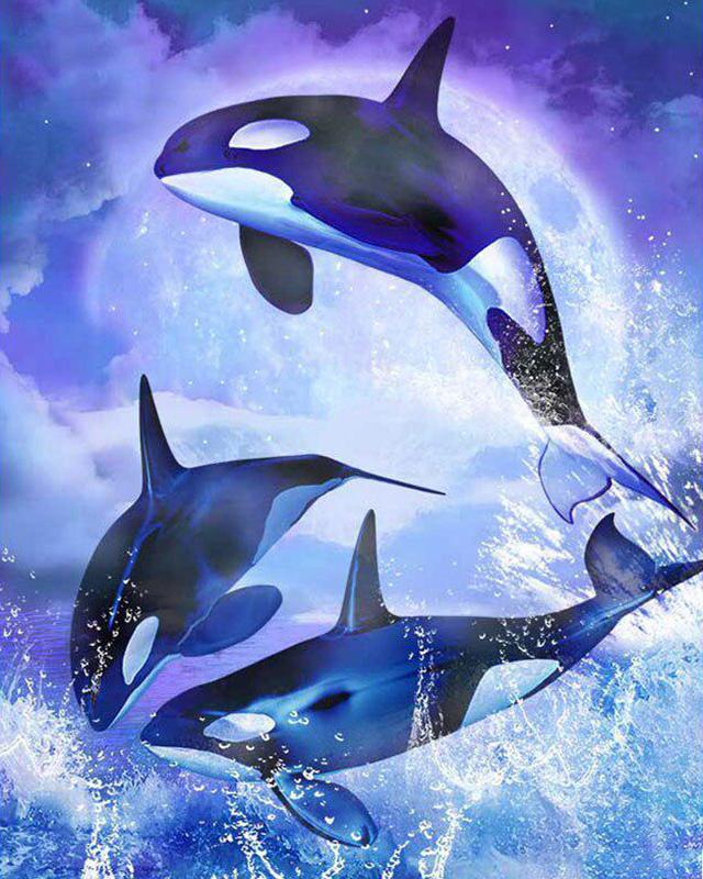 Diamond Painting Full Round Square Dolphins 5D DIY Diamond Embroidery Cross Stitch Sea Landscape Rhinestones Mosaic Wall Art