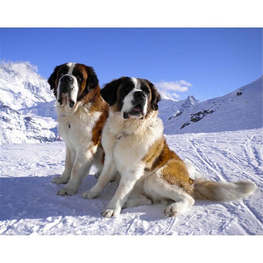 

Полный 5D Diy Алмазная картина Все виды собак Алмазная вышивка Наборы крестиков Домашний декор Подарок ручной работы 30x40cm