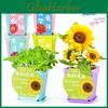 Science Experiment Diy Desktop Potted Plant Kit With Germination Seeds For Kids And Office Decor